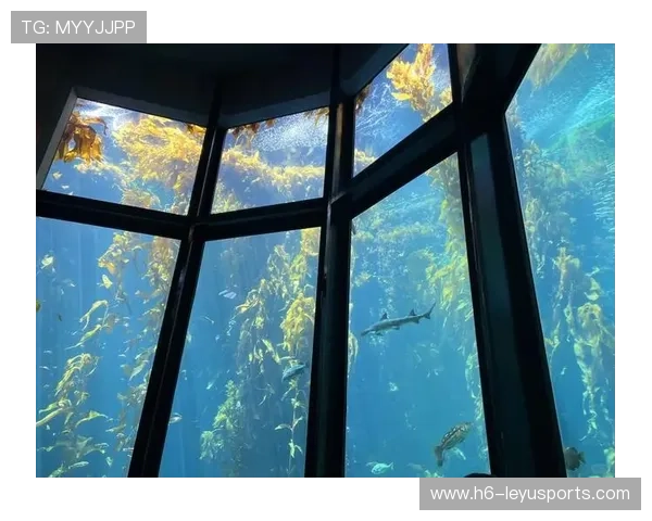 _全景水上漂流：探索水域中的奇幻世界_，水上游览